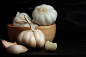 (MEGA) Garlic - 100 Plants